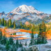Mount Rainier National Park, USA Puslespil 1000 Brikker