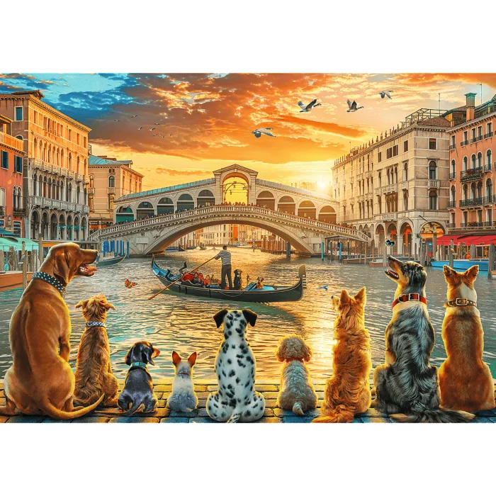 Dogs in Venice Puslespil 1000 Brikker