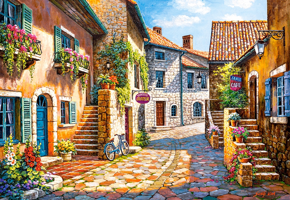 Rue de Village Puslespil 1000 Brikker
