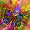 Colorful Butterfly – Bluebird Puslespil med 1000 Brikker