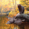 Black Bear Pond – Cobble Hill Puslespil 1000 Brikker
