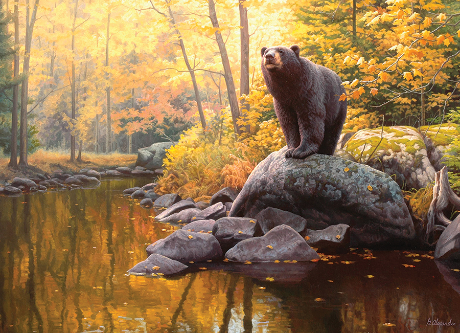 Black Bear Pond – Cobble Hill Puslespil 1000 Brikker