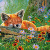Foxy Dreams – Castorland Puslespil med 500 Brikker