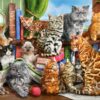 House of Cats – Castorland Puslespil med 2000 Brikker