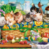 Napping Kittens – Castorland Puslespil med 1000 Brikker