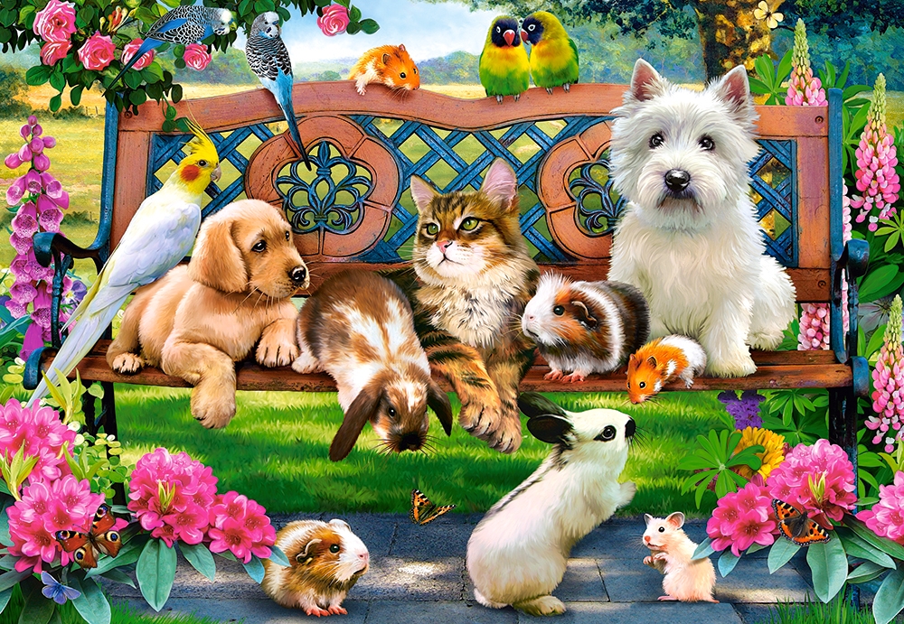 Pets in the Park – Castorland Puslespil med 1000 Brikker