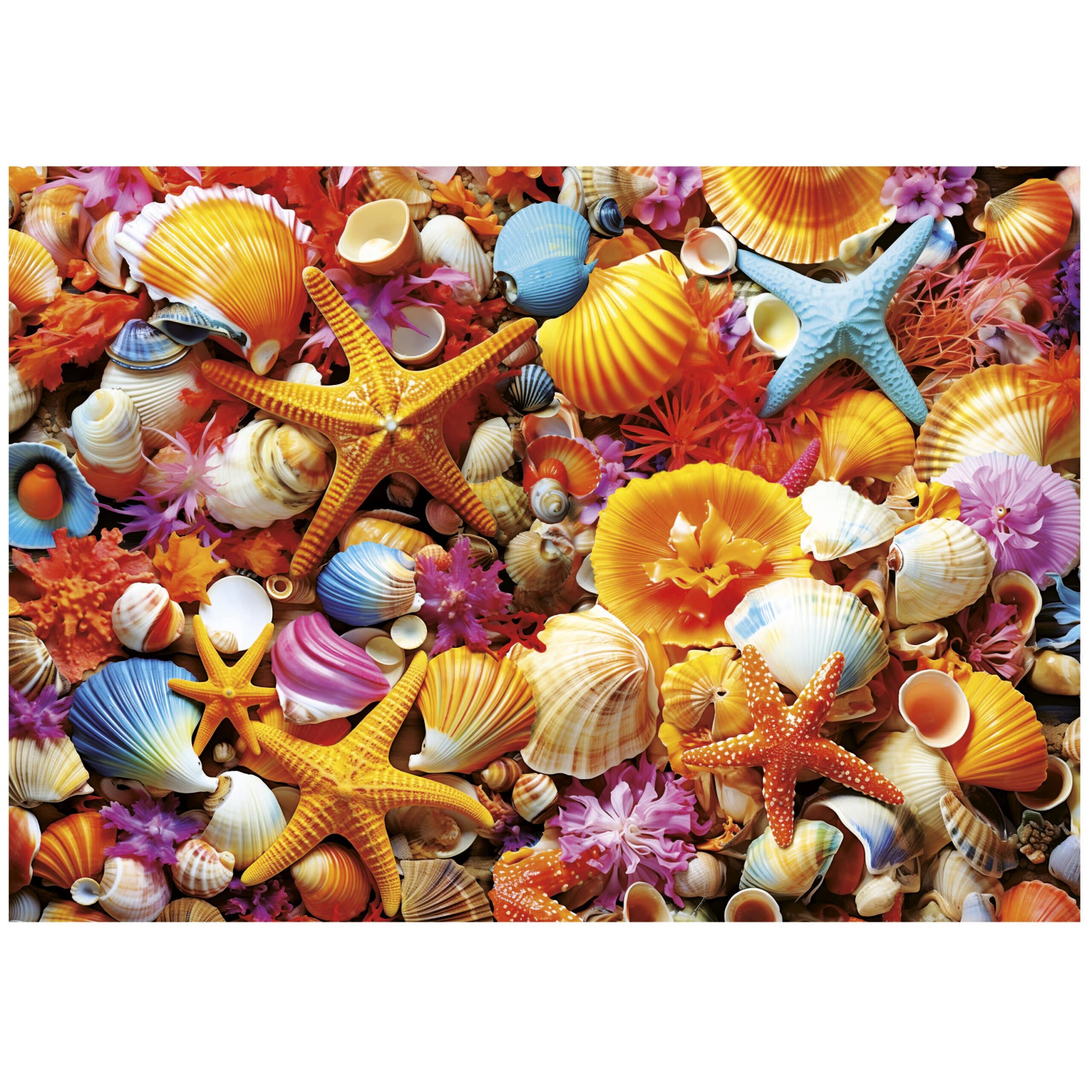 Shell Collage – Educa Puslespil 1000 Brikker