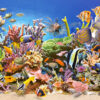The Underwater Life – Castorland Puslespil med 4000 Brikker