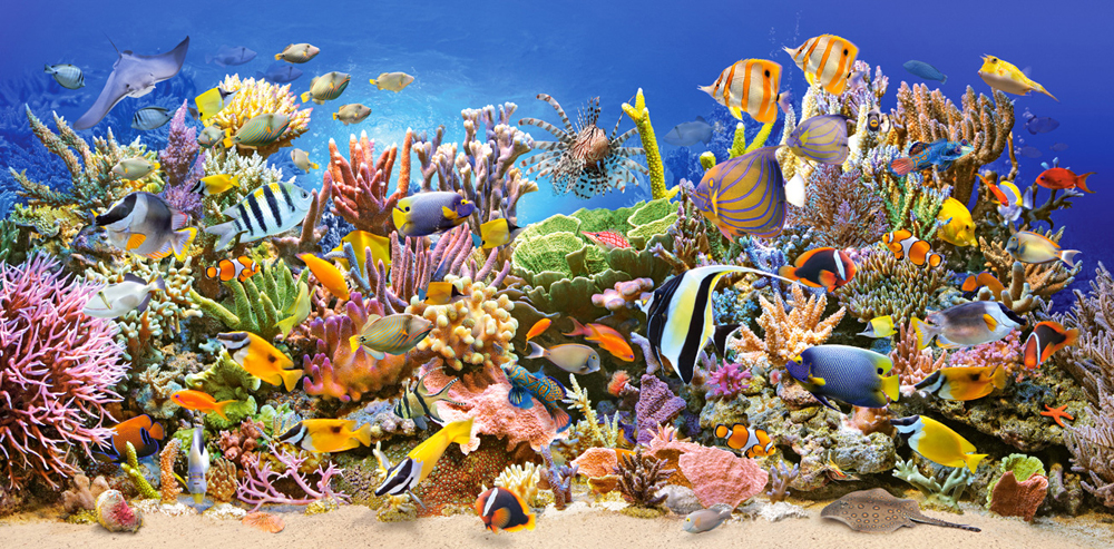 The Underwater Life – Castorland Puslespil med 4000 Brikker
