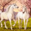 Unicorn Love – Castorland Puslespil 1000 Brikker