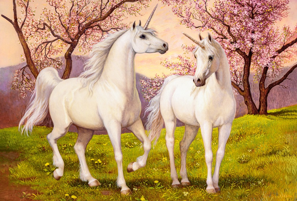 Unicorn Love – Castorland Puslespil 1000 Brikker