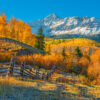 View of Wilson Peak in Autumn – Castorland Puslespil 1000 Brikker