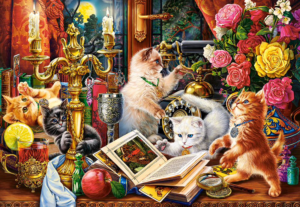 Wizard Kittens – Castorland Puslespil 1000 Brikker