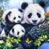 Panda Family – Bluebird Puslespil 1000 Brikker