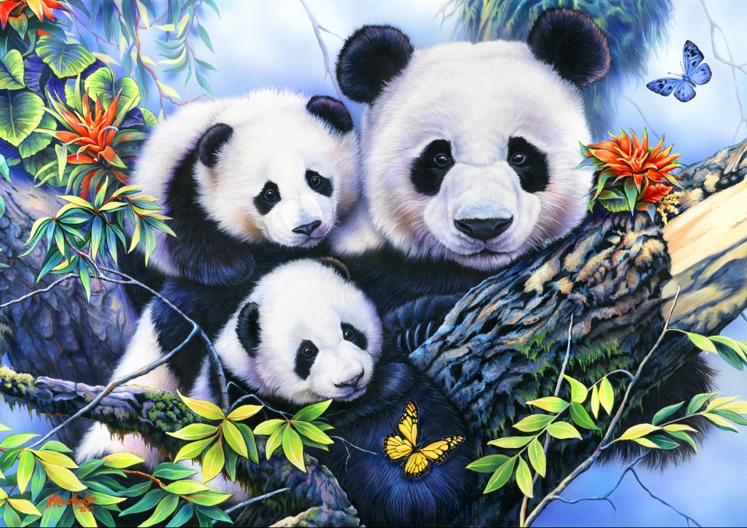 Panda Family – Bluebird Puslespil 1000 Brikker