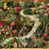 Succulent Garden – Cobble Hill Puslespil 1000 Brikker