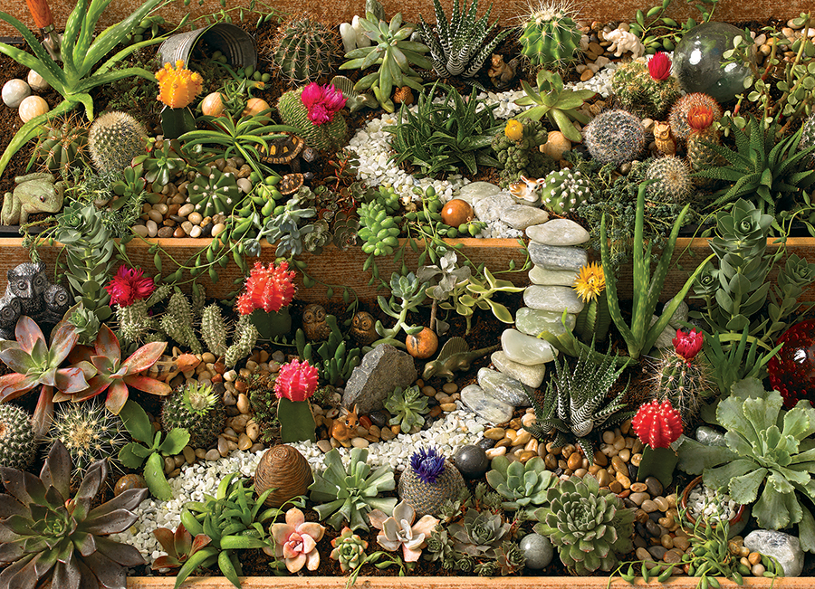 Succulent Garden – Cobble Hill Puslespil 1000 Brikker